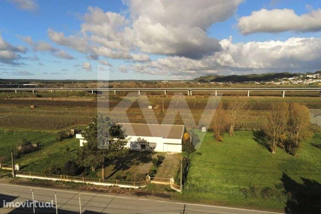 Armazem/Fábrica 737m2 | Terreno 40.000m2 | Estrada Nacional 8-5 |1987| - Grande imagem: 4/39