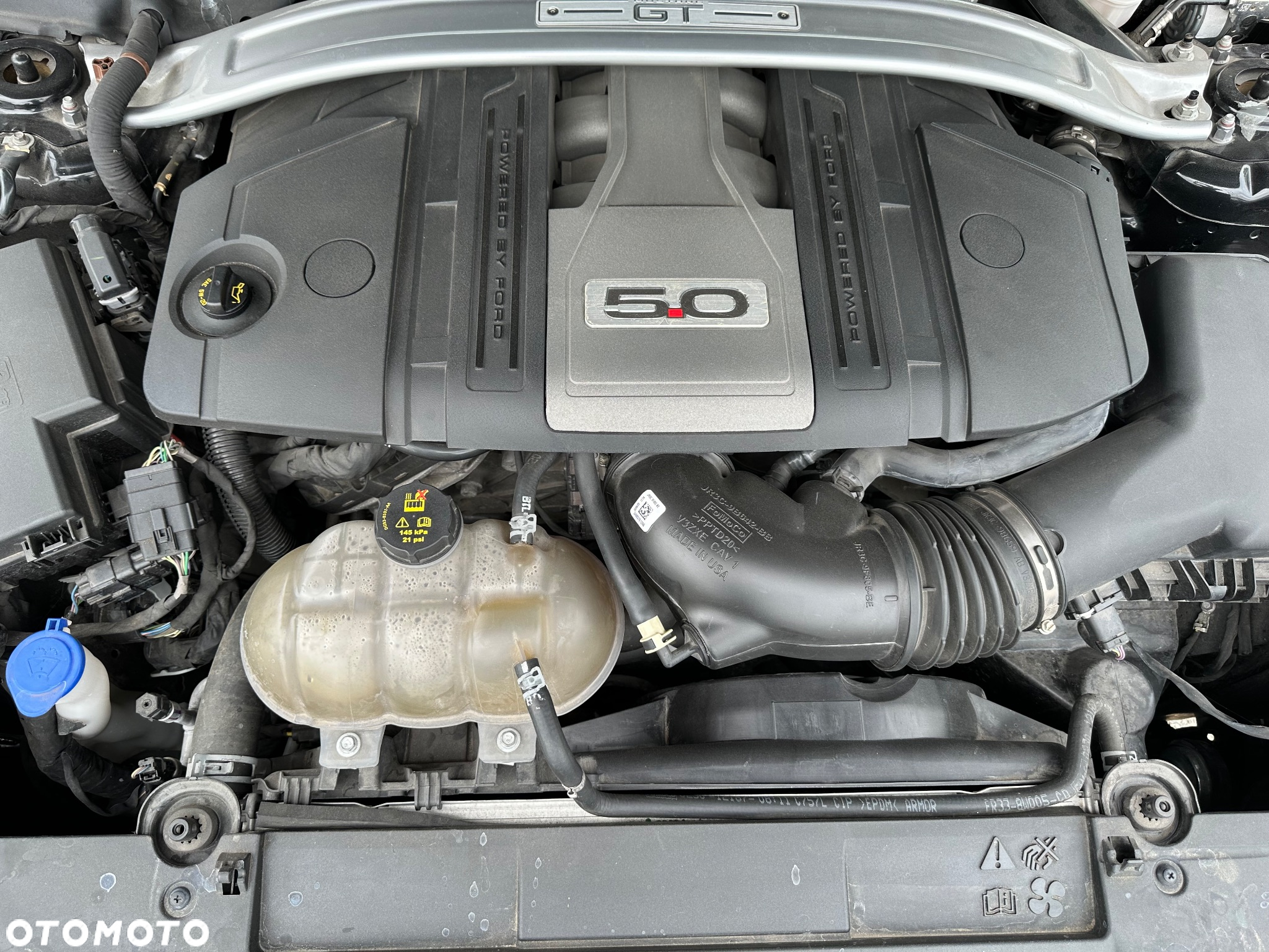 Ford Mustang Fastback 5.0 Ti-VCT V8 MACH1 - 20