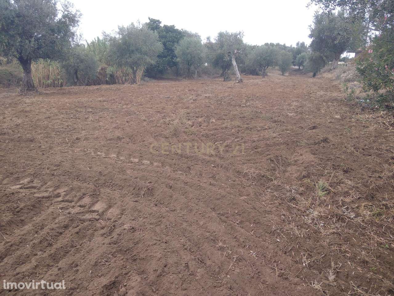 Terreno Urbano e rustico c/ 2840 m2 | Horta dos Corvos | Valhascos - Grande imagem: 2/10