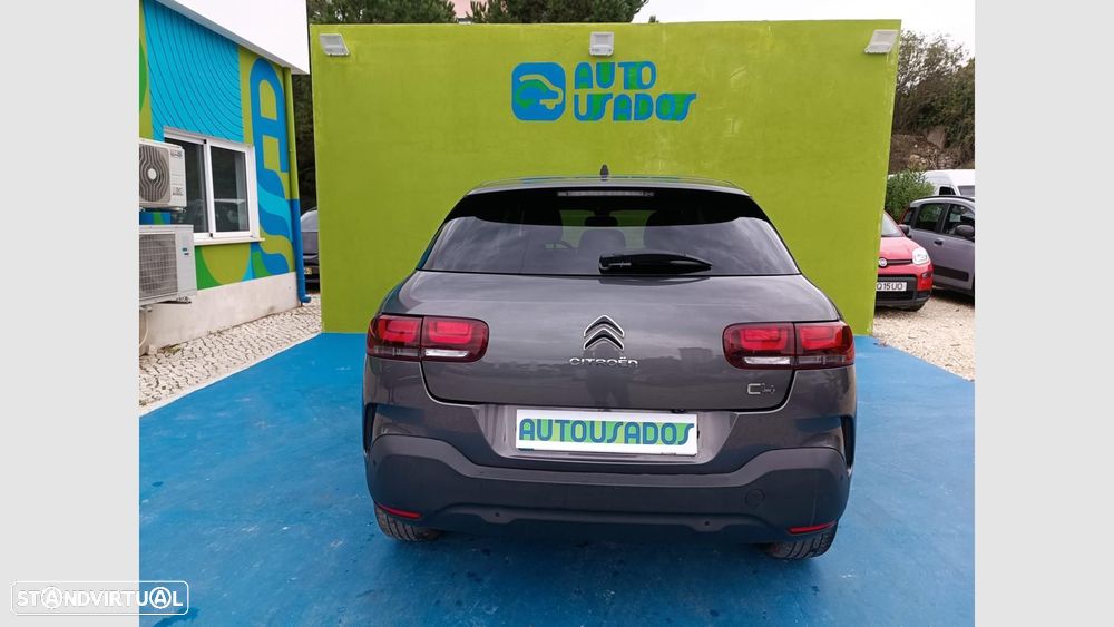 Citroën C4 Cactus 1.5 BlueHDi Shine Pack - 4