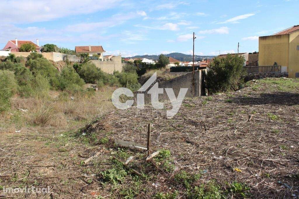 TERRENO 3.600 M2, MORELENA - SINTRA - Grande imagem: 2/38