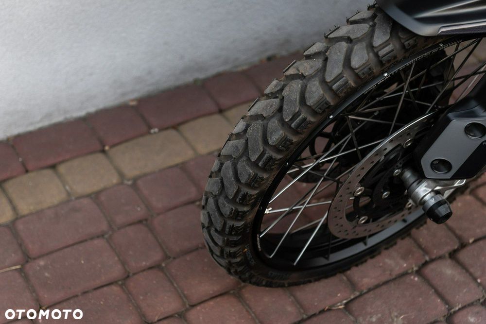 Triumph Tiger - 9