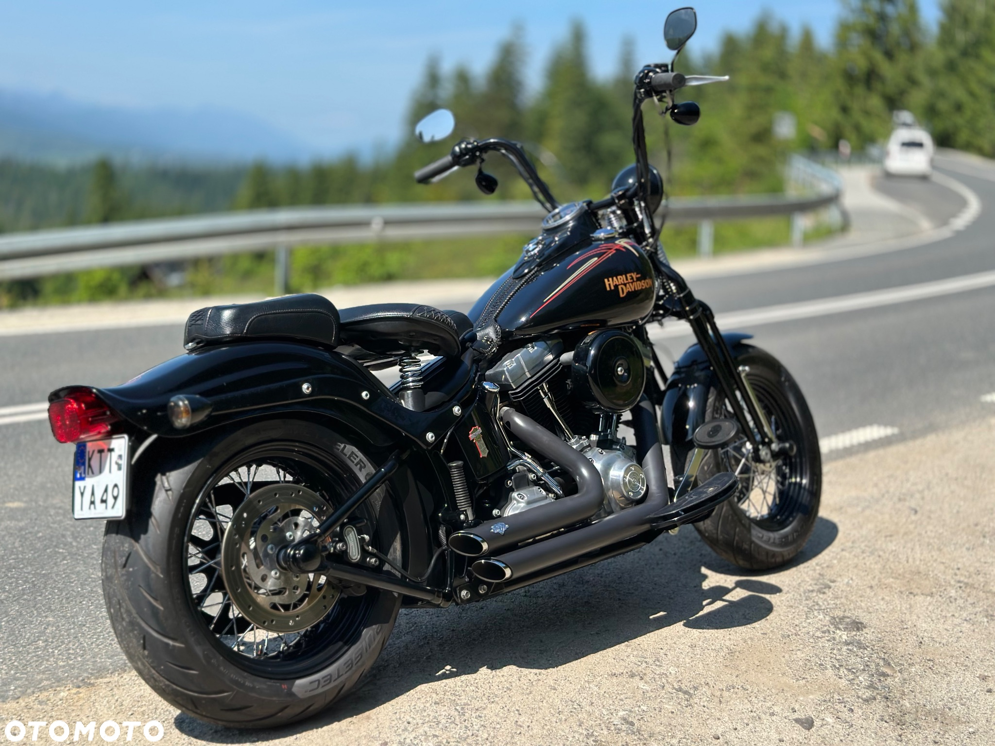Harley-Davidson Softail Cross Bones - 6