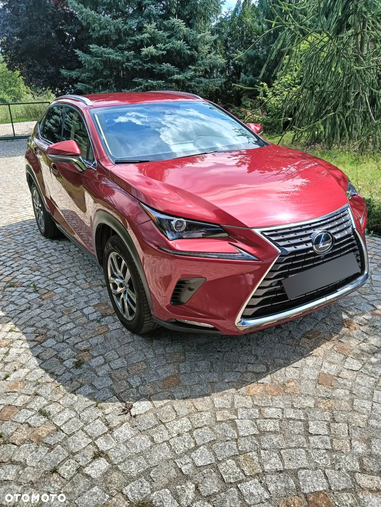 Lexus NX ver-300h-business-edition-awd - 4