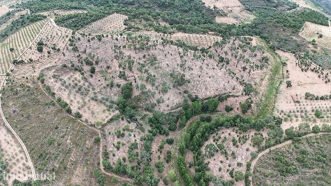 Terreno  para venda - Grande imagem: 2/4