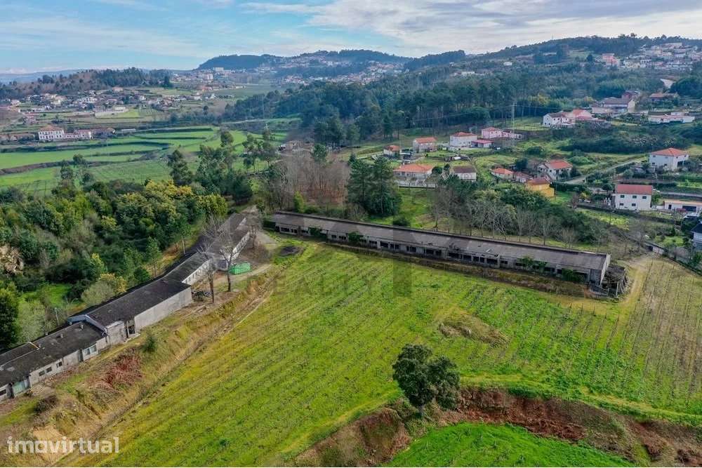 Oportunidade Única: quinta com 6 H, com 5.0000 m2 de área de armazéns - Grande imagem: 4/35