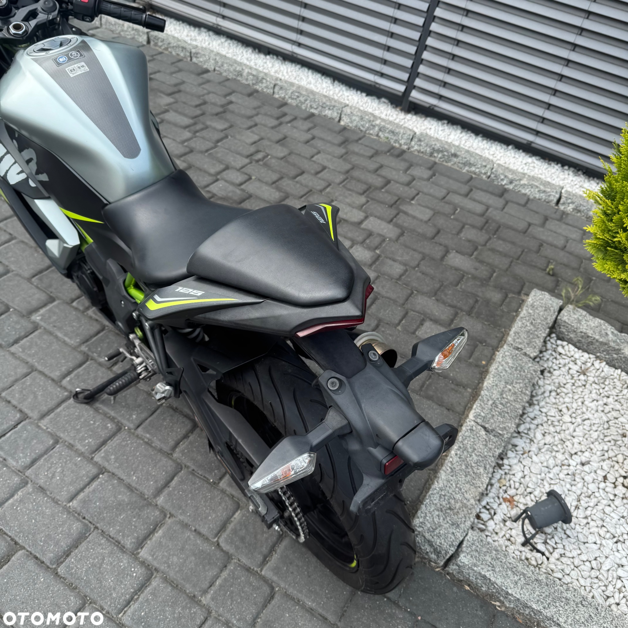 Kawasaki Ninja - 12