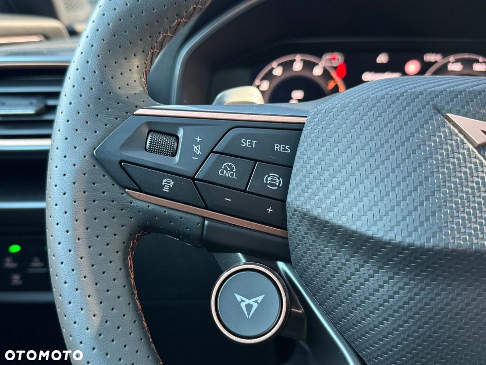 Cupra Formentor 2.0 TSI 4Drive DSG - 27