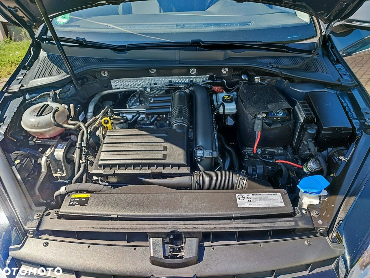 Volkswagen Golf - 17