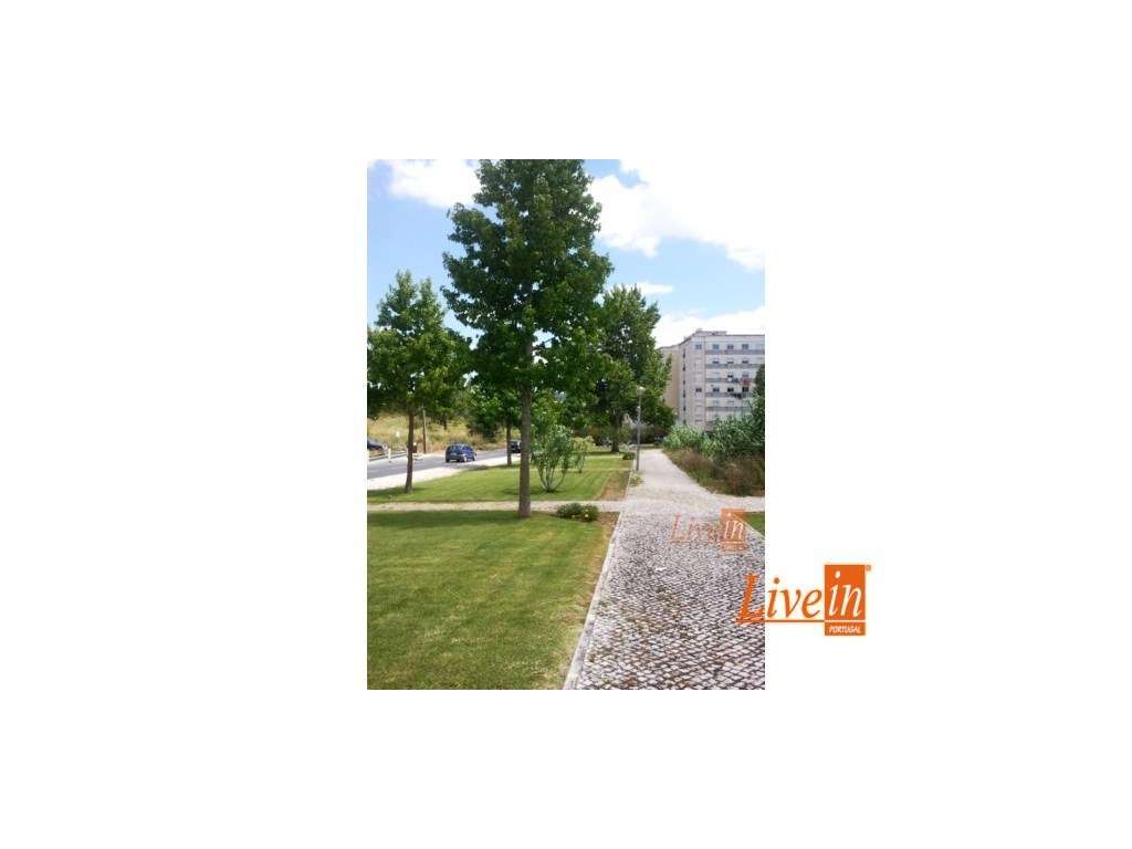 Lote de Terreno para Construção numa Ótima Localização em Torres Ve... - Grande imagem: 2/9