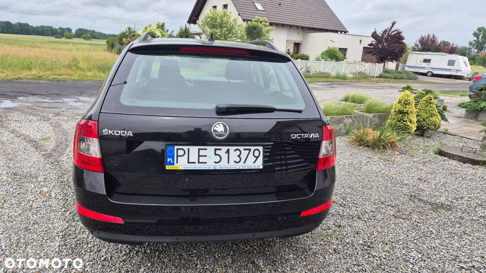 Skoda Octavia - 13