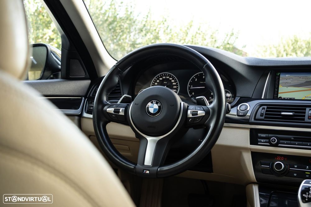 BMW 525 d Line Luxury Auto - 15