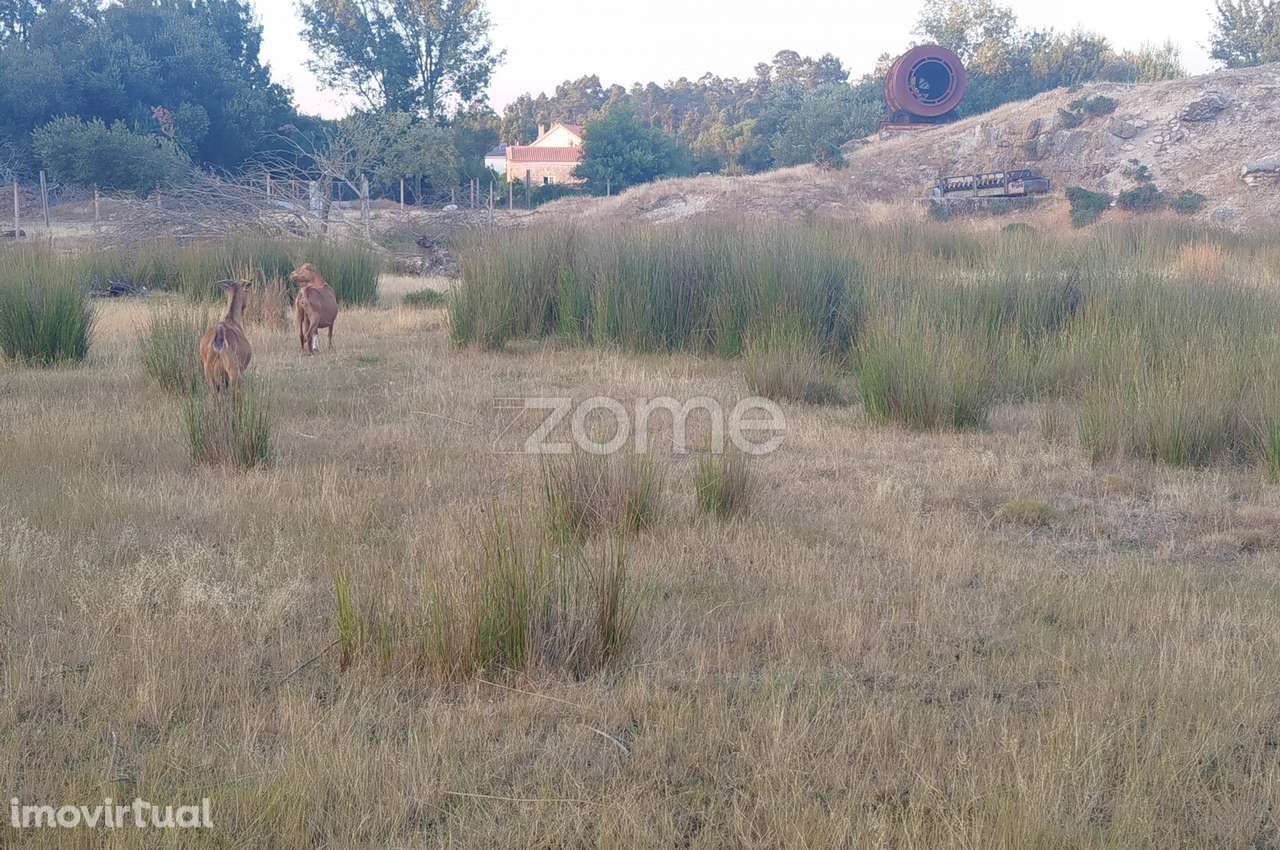 Herdade com três lagos, venha conhecer Oportunidade Única - Grande imagem: 3/29