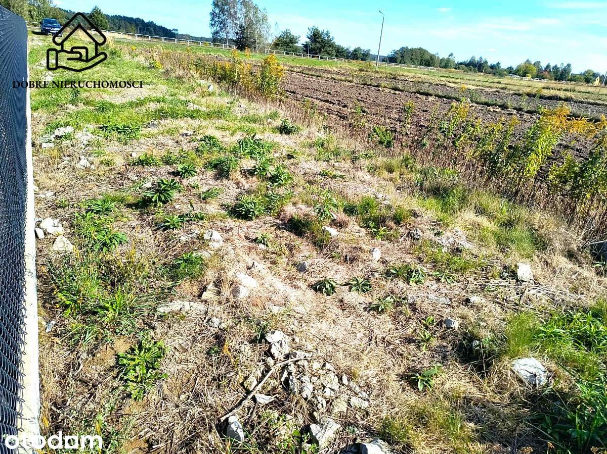 Działka 1600 m2 - Rokitno - Lubartów - Pełny obrazek: 4/5
