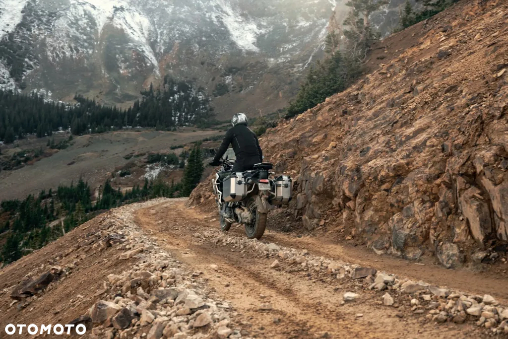 Triumph Tiger - 15