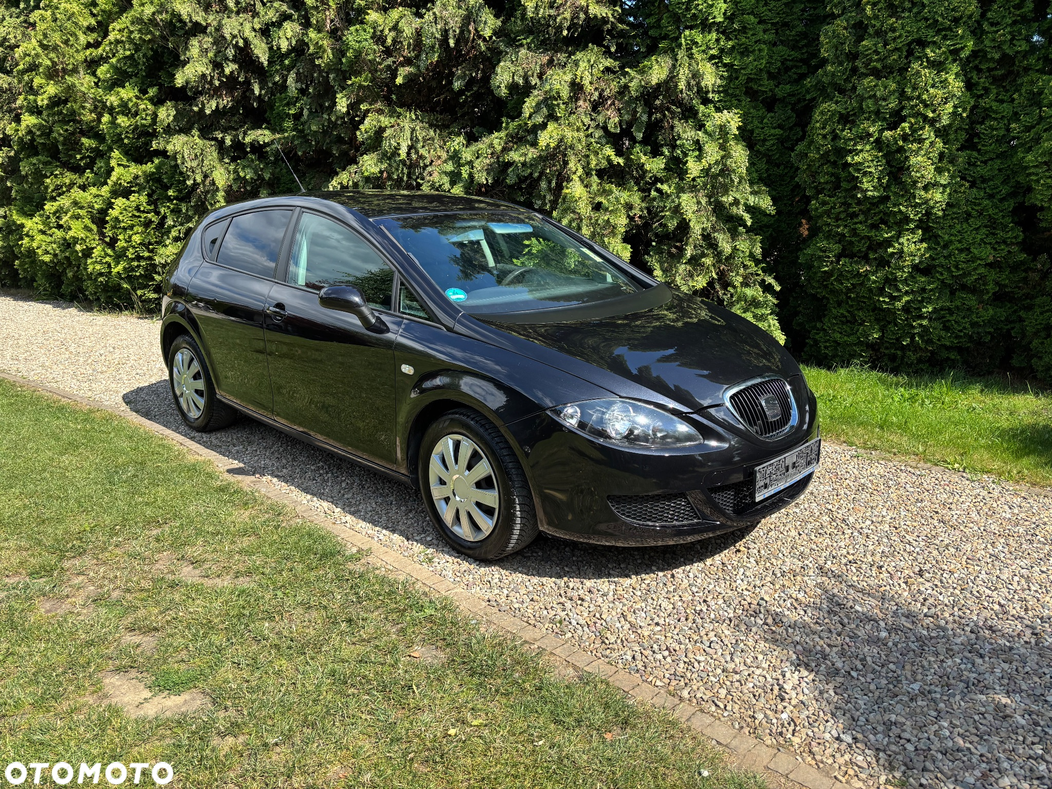 Seat Leon - 12