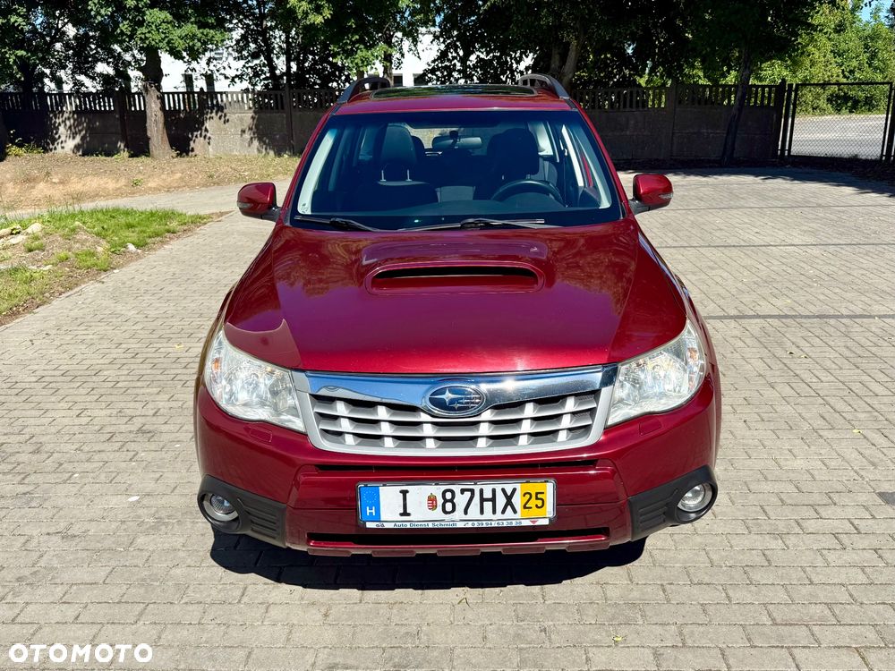 Subaru Forester - 3