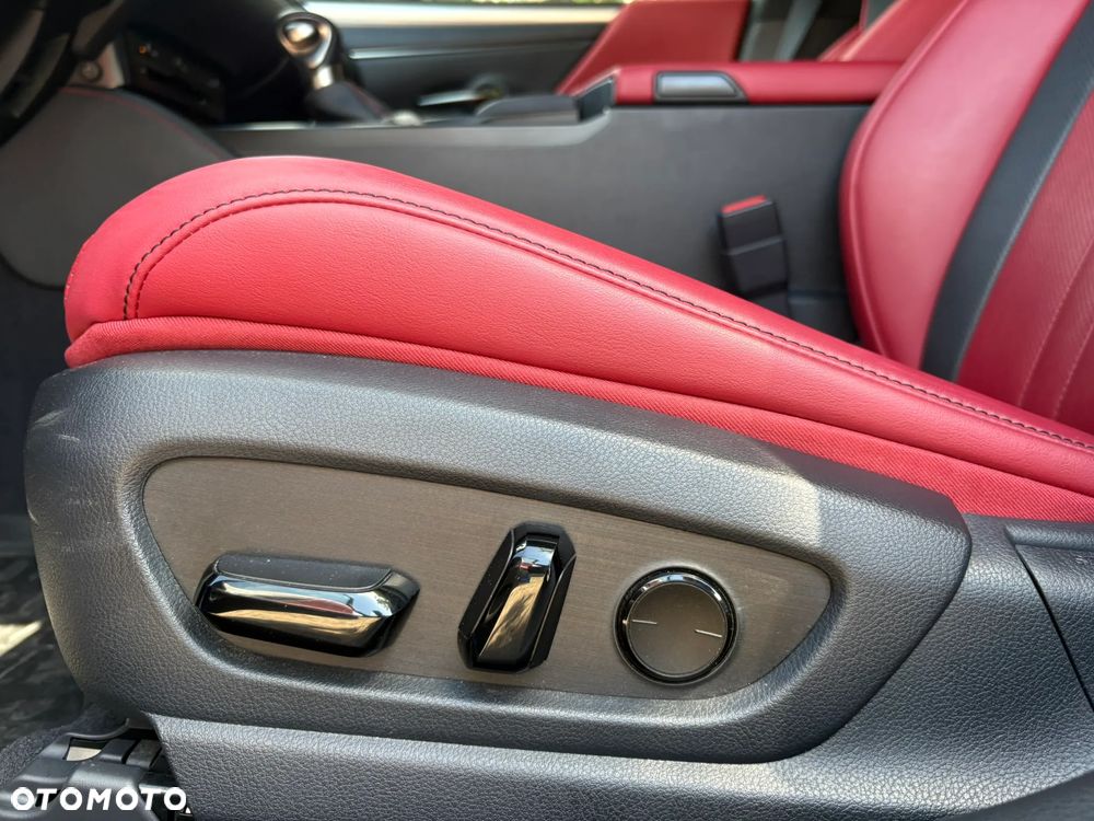 Lexus ES 300h F Sport Edition - 30