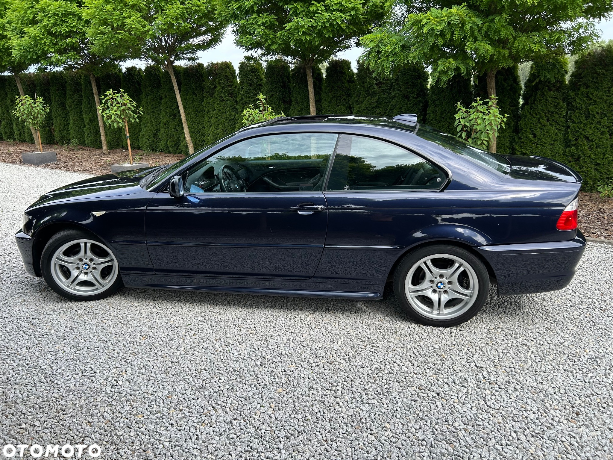 BMW Seria 3 318i - 8