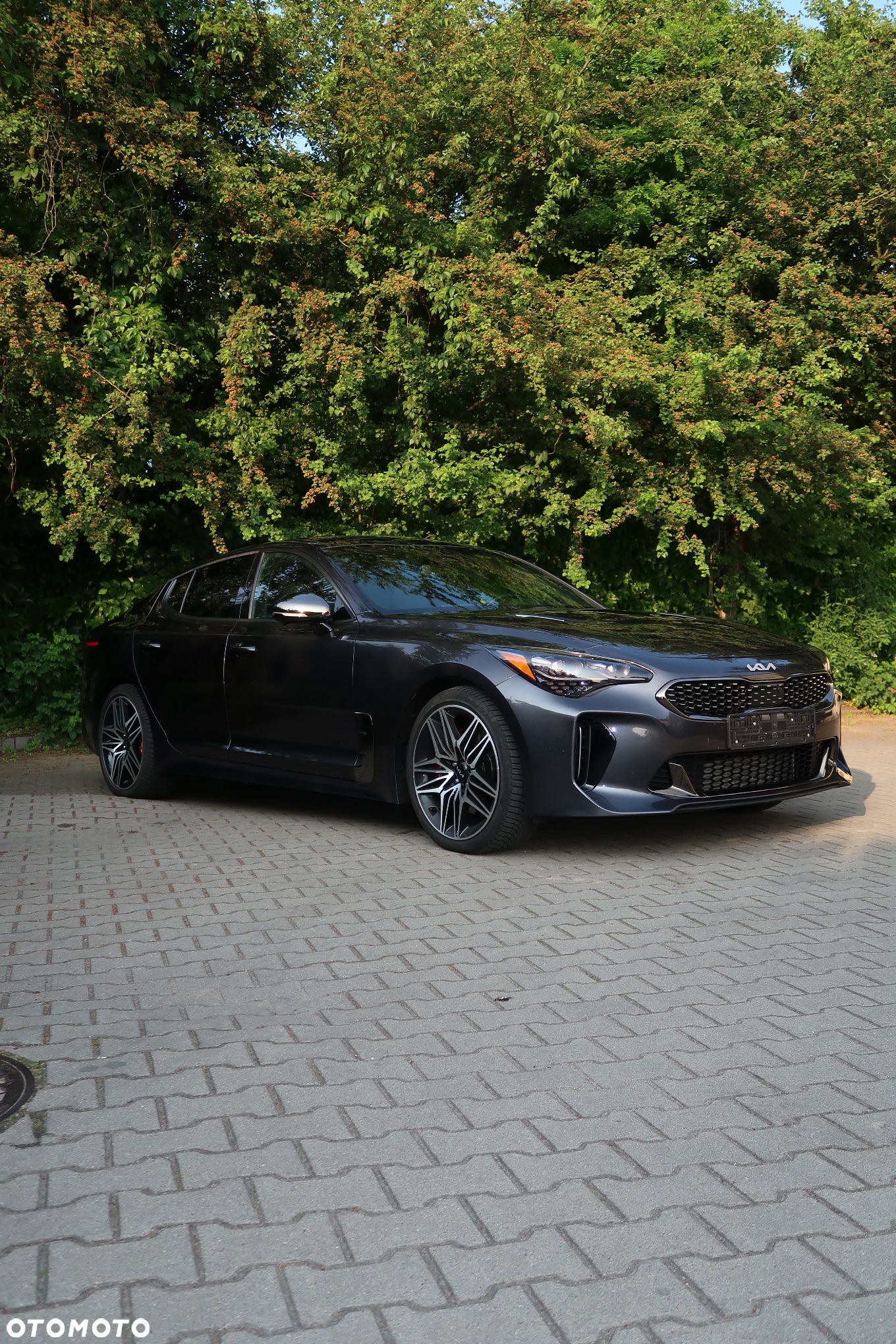 Kia Stinger - 2