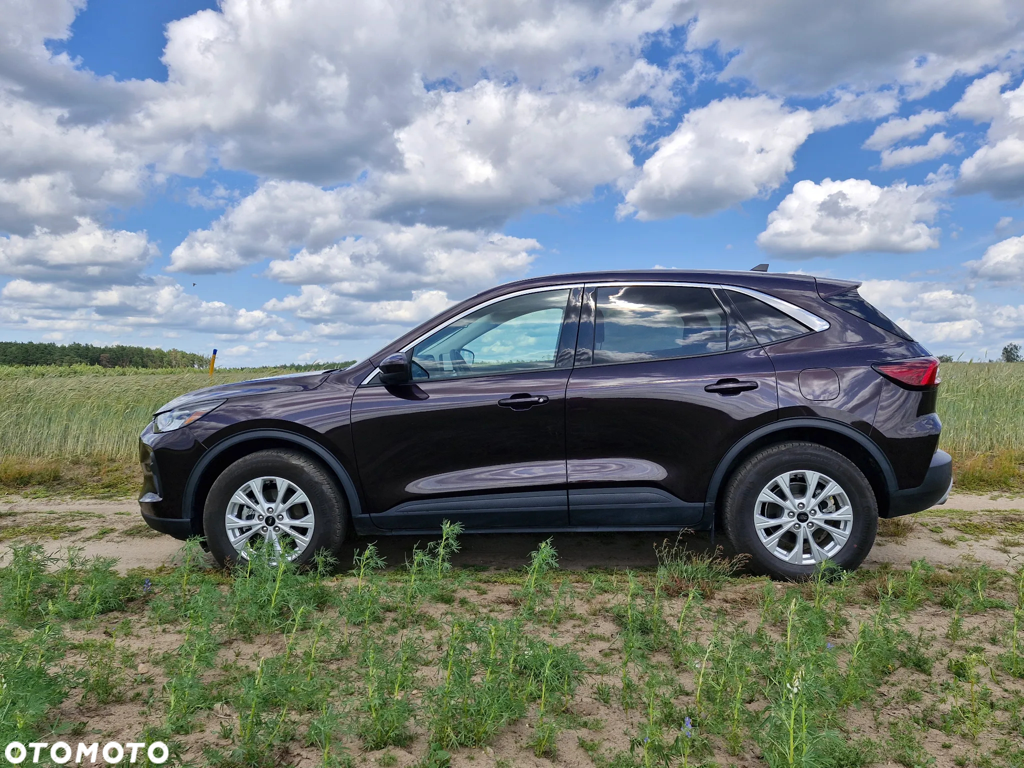 Ford Escape 1.5 EcoBoost AWD SE - 4