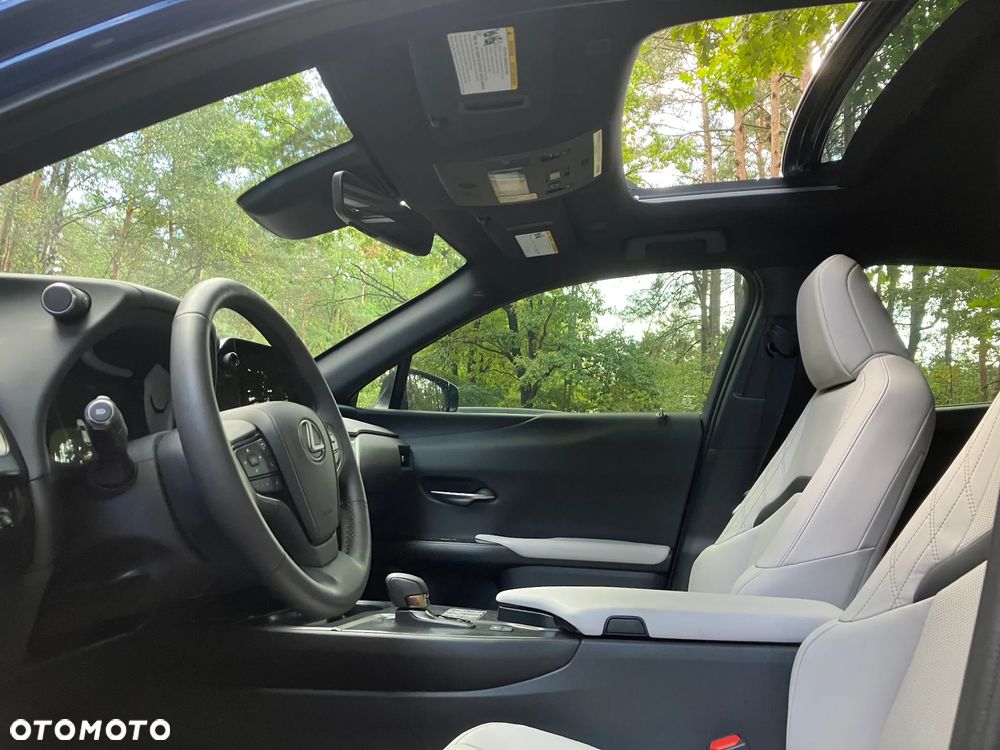 Lexus UX 300h - 23