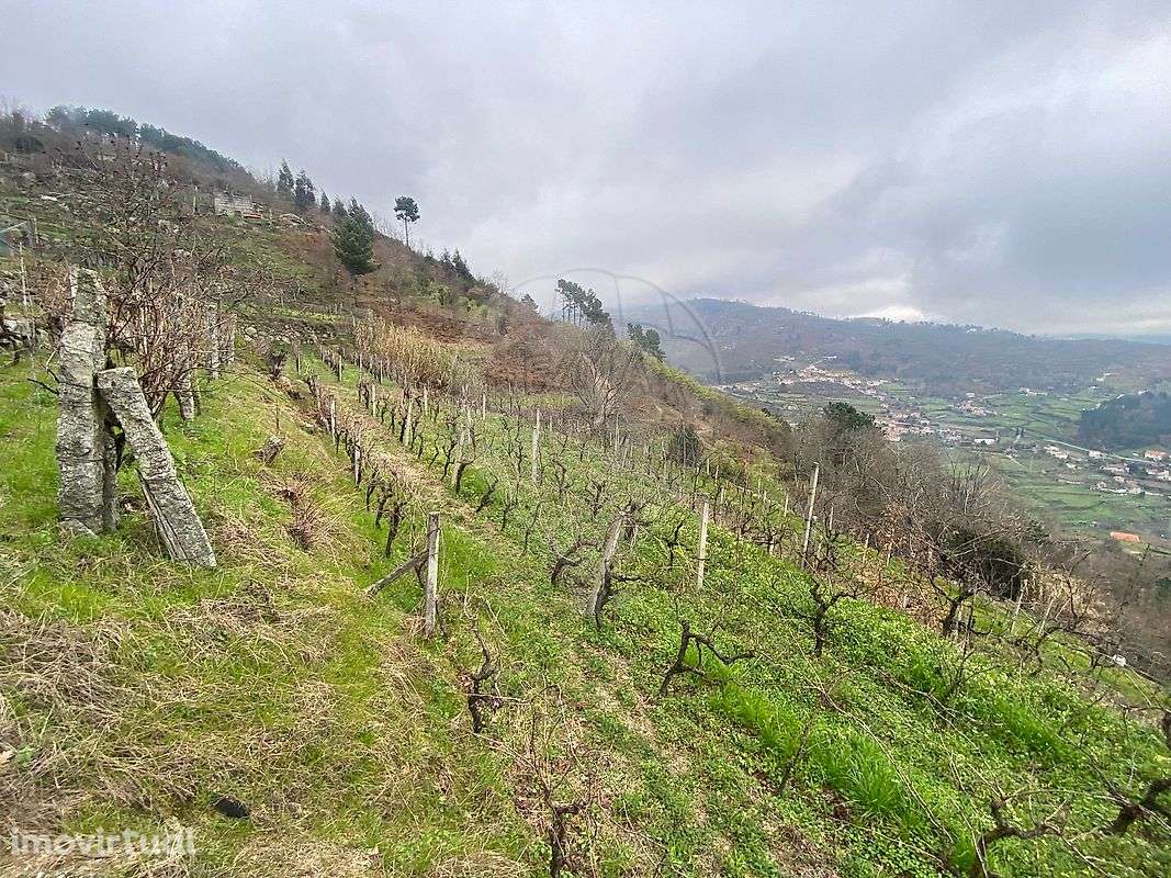 Moradia T0 para venda - Grande imagem: 3/4