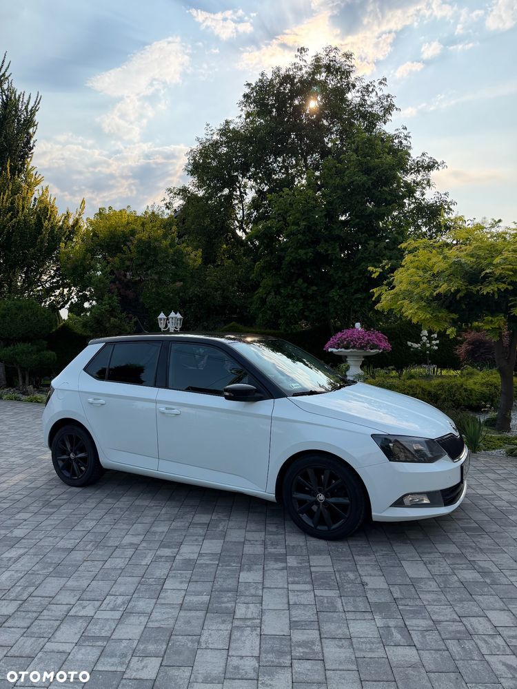 Skoda Fabia 1.4 TDI Monte Carlo - 6