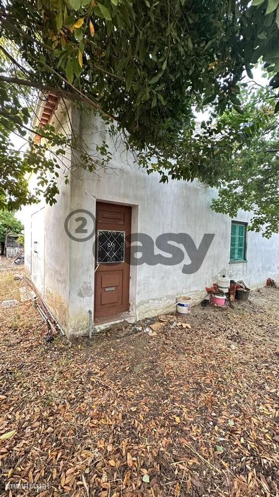 Terreno Rústico com 1,1 Hectares na Vidigueira - Grande imagem: 5/13