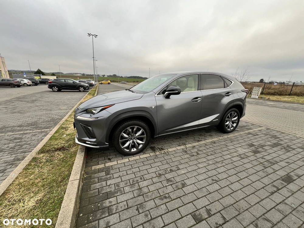 Lexus NX 300h F Sport AWD - 21