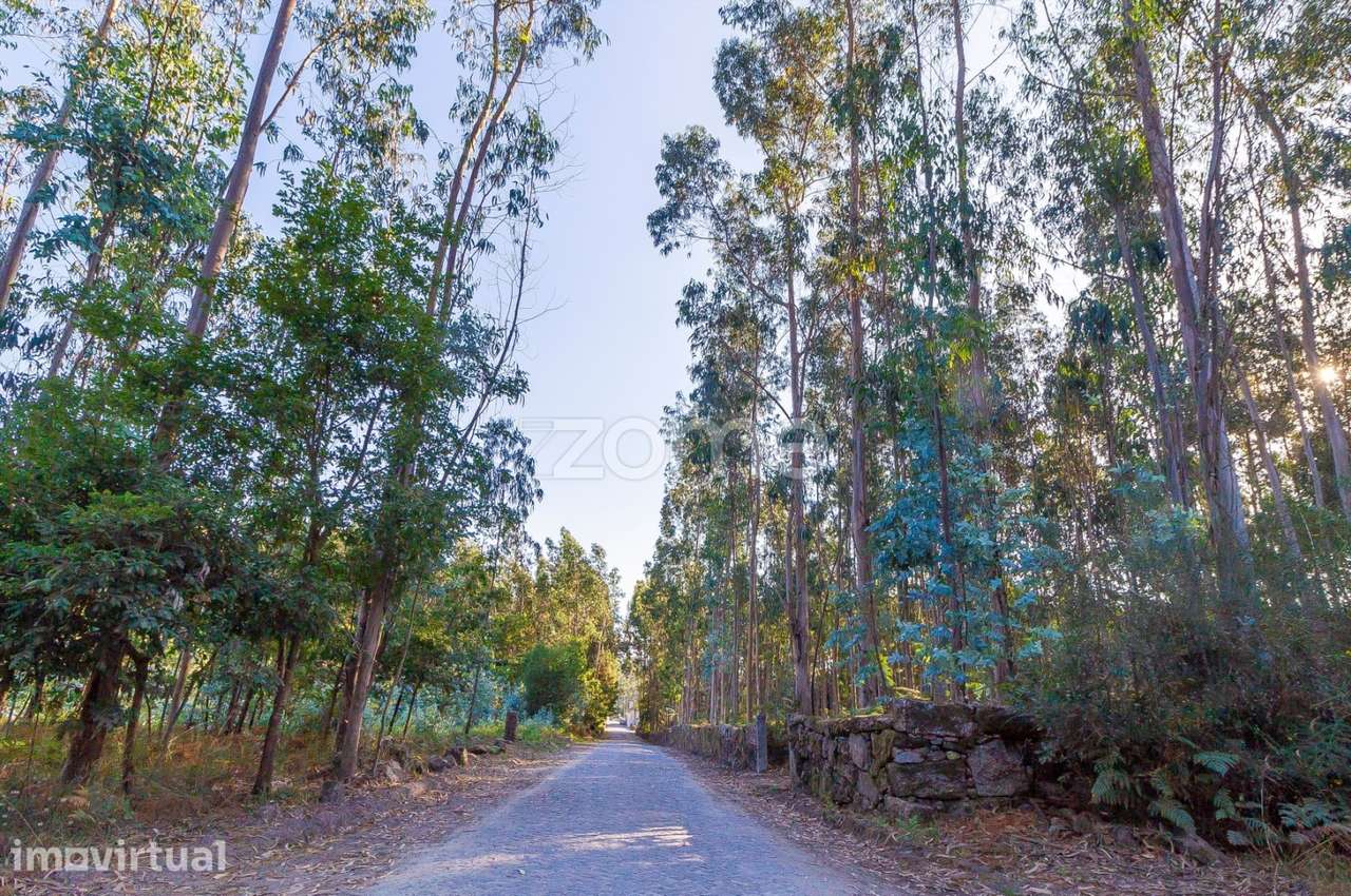 Terreno Rústico com 13.470 m2 em Monte Córdova - Santo Tirso - Grande imagem: 3/6