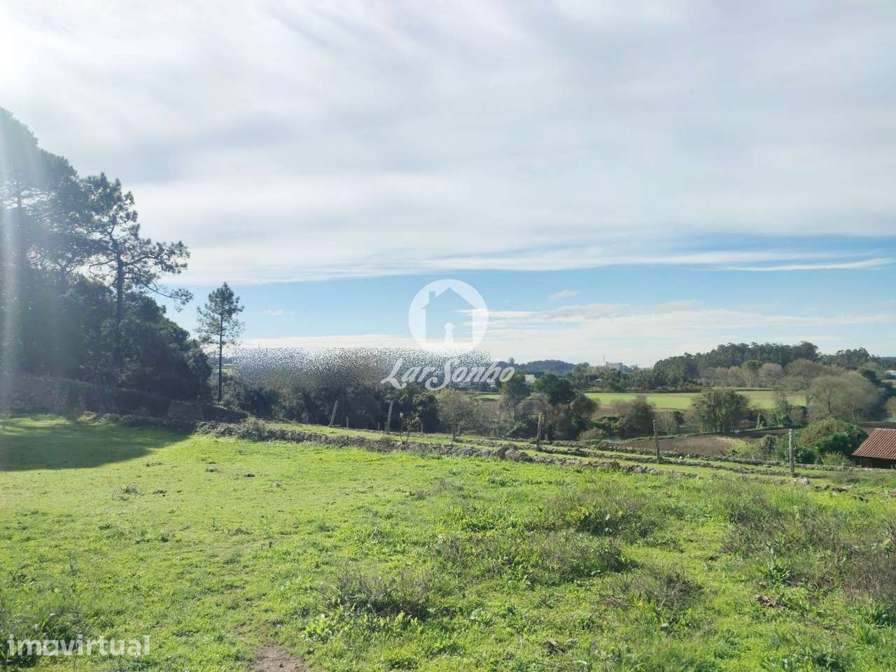 Quinta T7 c/12.000m2 em Touguinhó, Vila do Conde - Grande imagem: 2/26