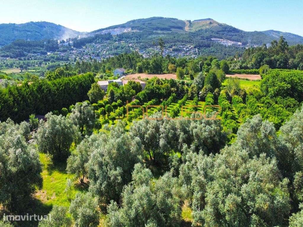 Quinta do Século XVII - Produção Biológica - Grande imagem: 4/60