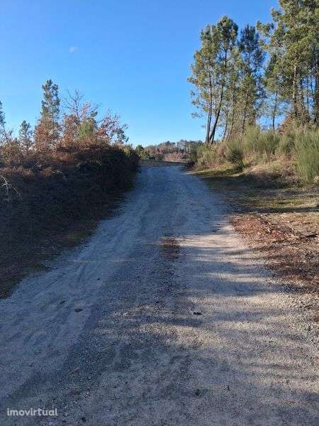 Terreno Rústico agrícola em Ermida Cavernãs - Grande imagem: 2/7