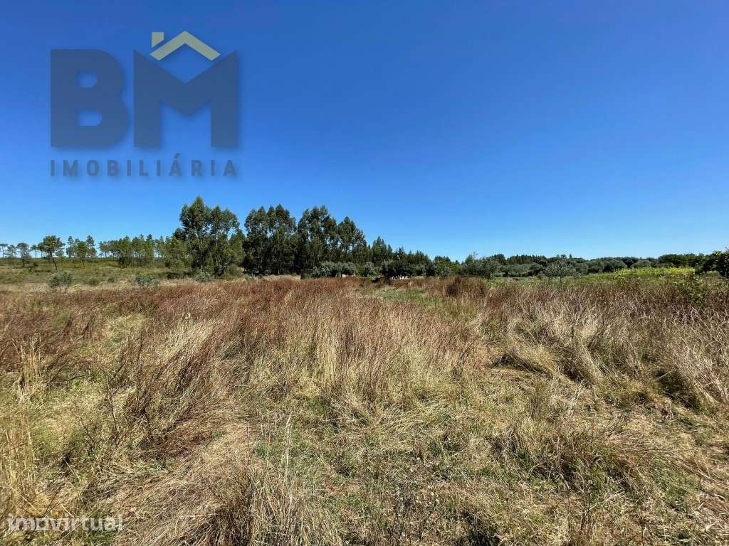 Terreno rustico com 1680m2 em Juncal do Campo! - Grande imagem: 2/8