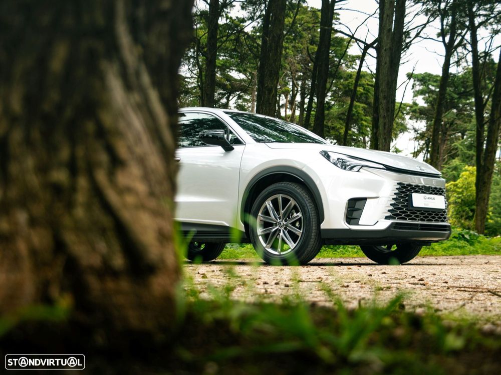 Lexus LBX - 18