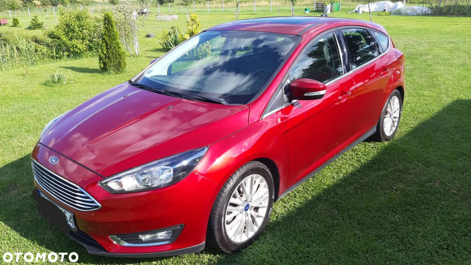 Ford Focus - 6