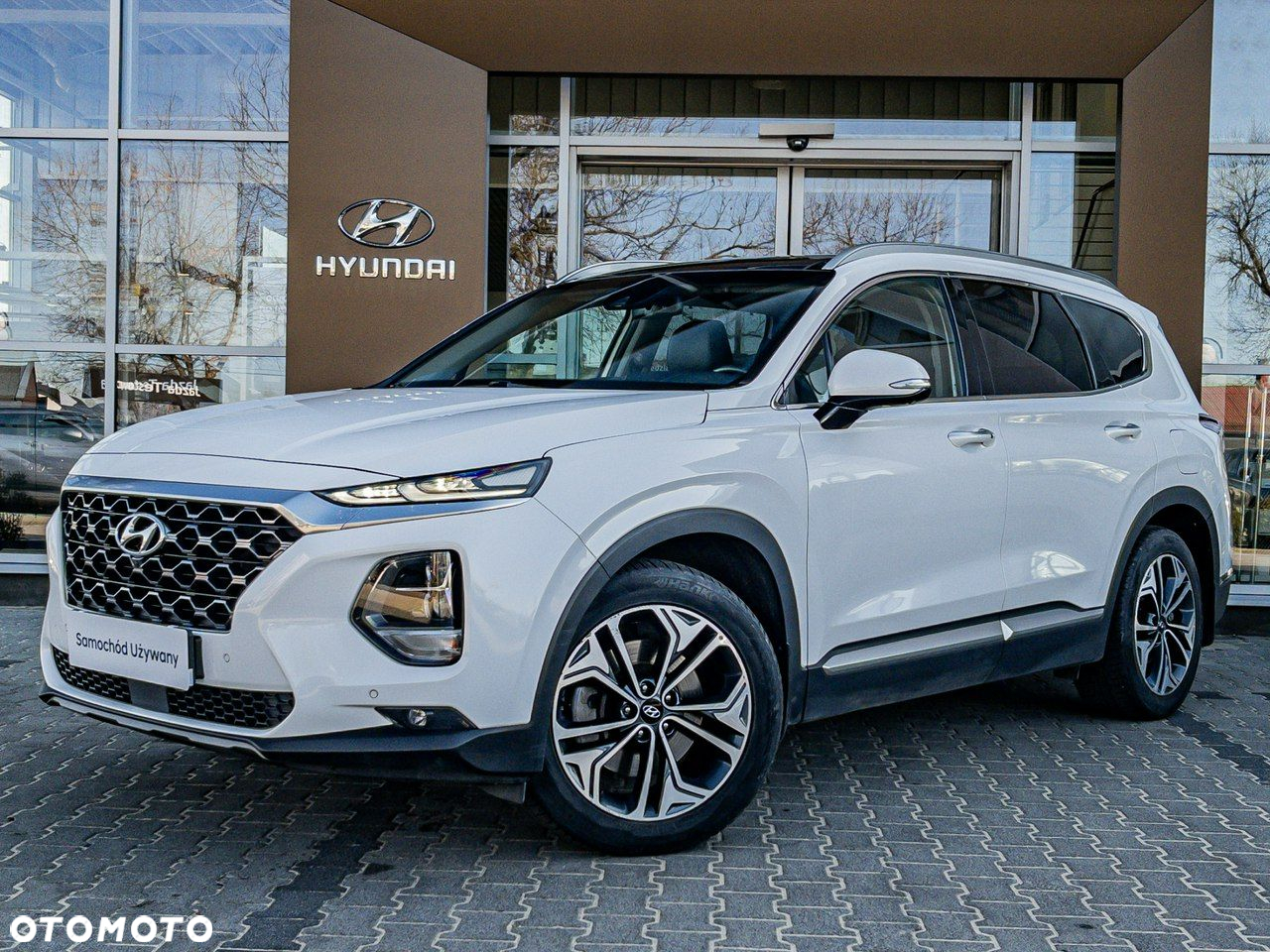 Hyundai Santa Fe 2.0 CRDi Platinum 4WD - 3