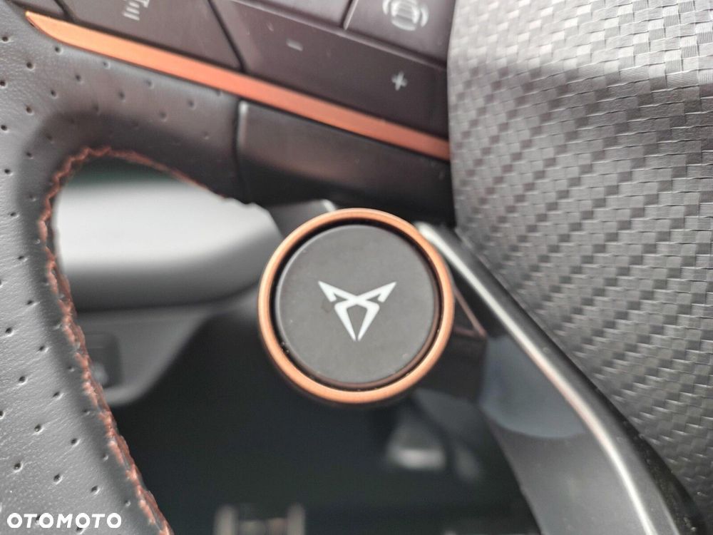 Cupra Terramar 2.0 TSI 4Drive DSG - 31