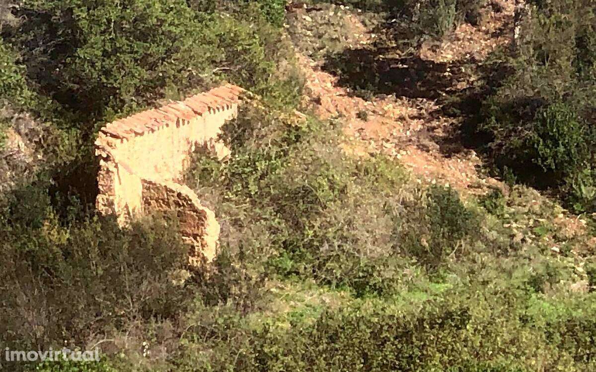 Terreno Rústico - Grande imagem: 3/7