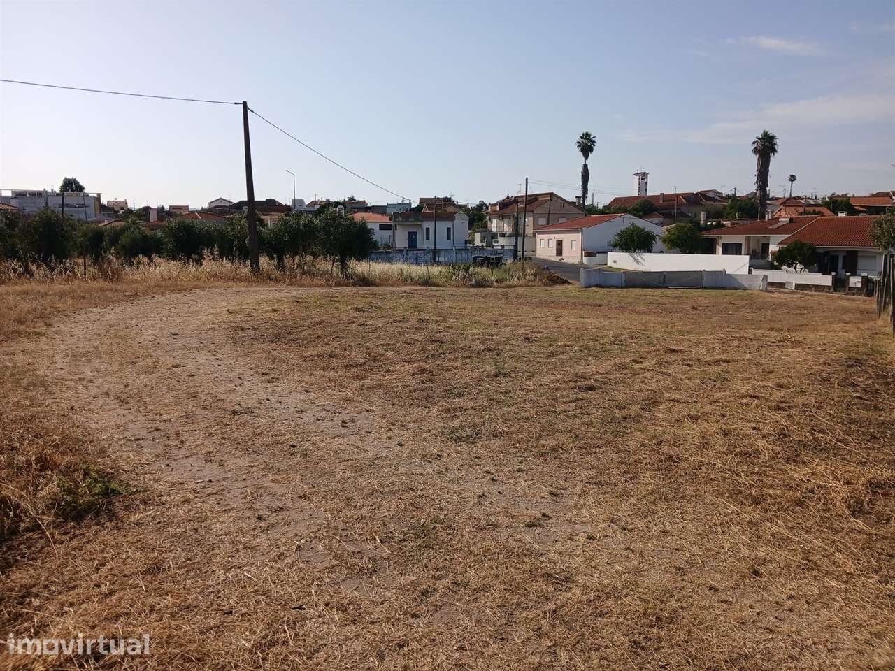Terreno Para Construção  Venda em Meia Via,Torres Novas - Grande imagem: 4/11
