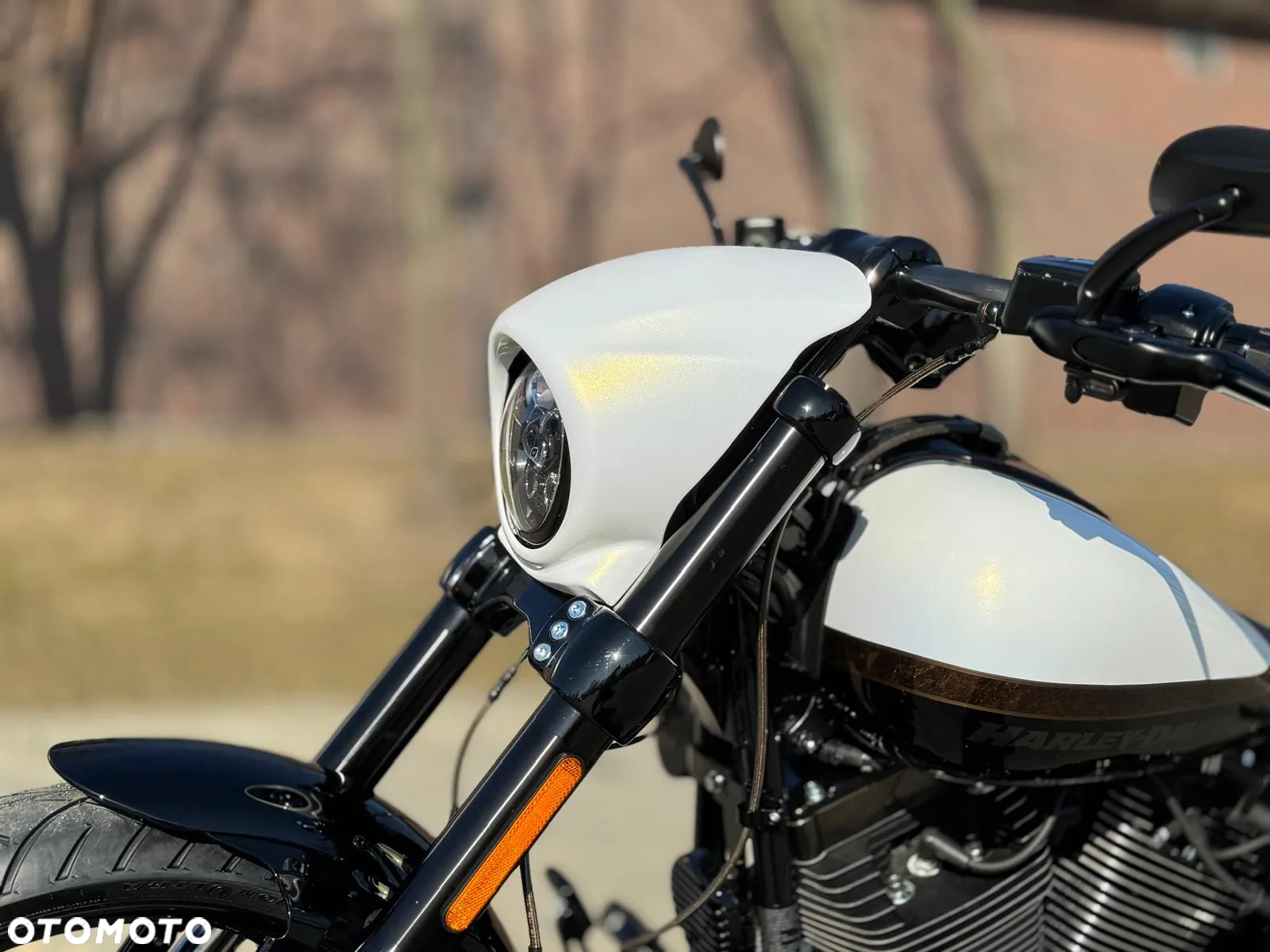 Harley-Davidson Softail Breakout - 21