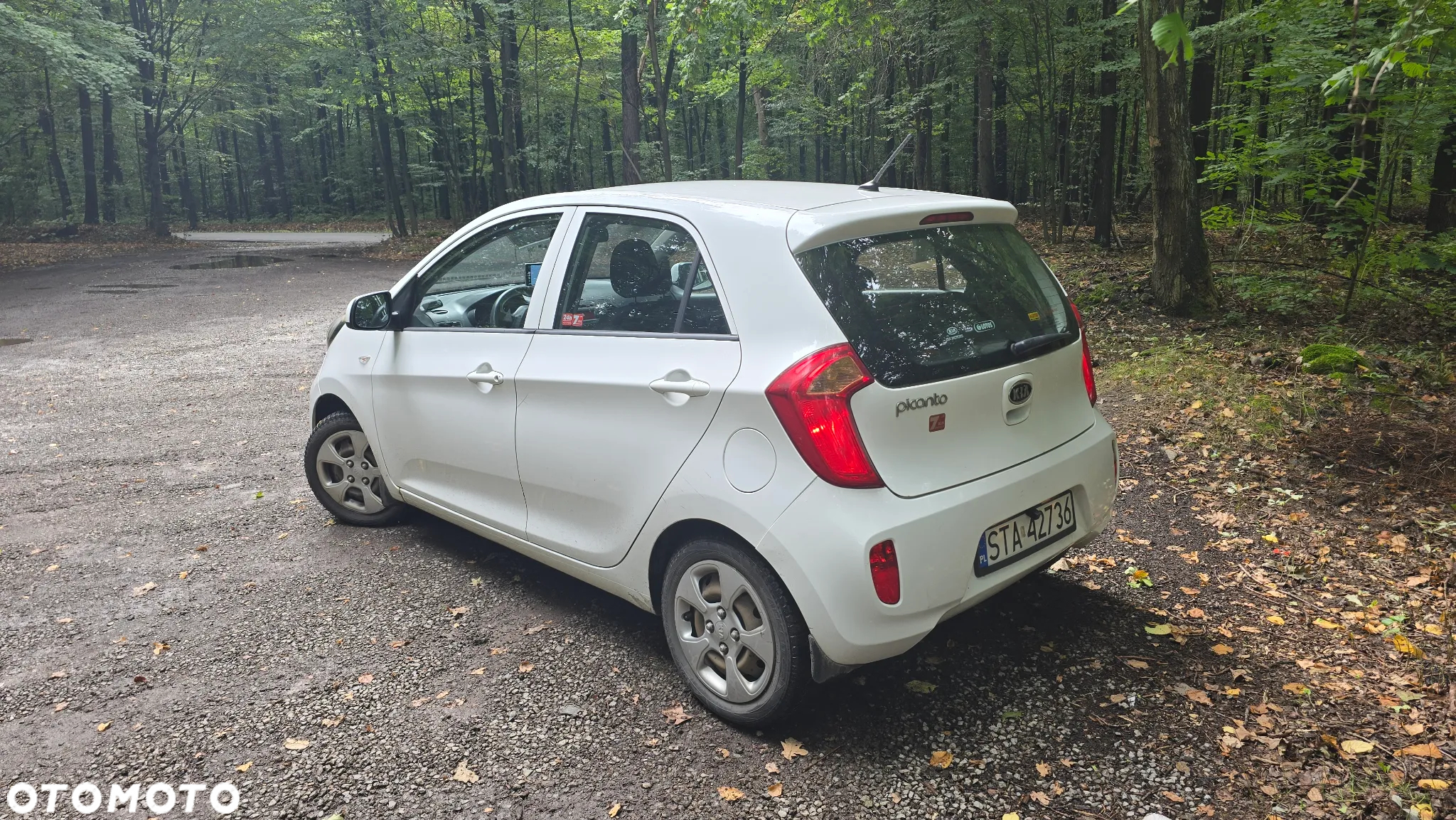 Kia Picanto - 4