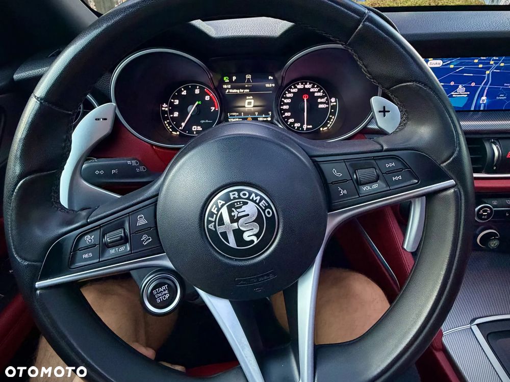 Alfa Romeo Stelvio 2.0 Turbo Executive Q4 - 6