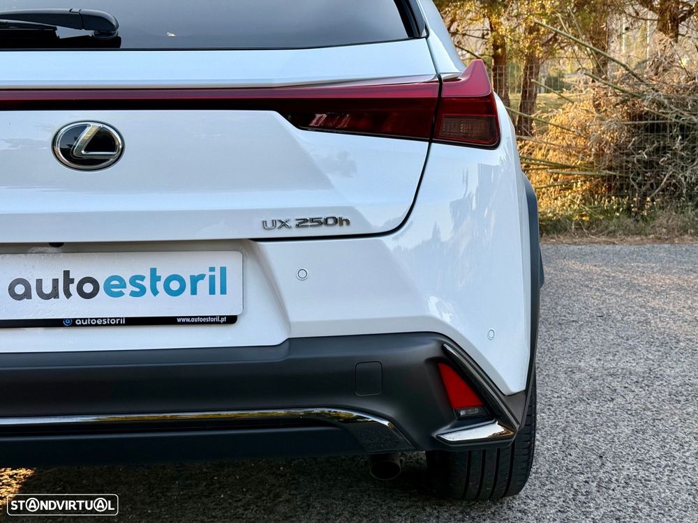 Lexus UX 250h F Sport - 19