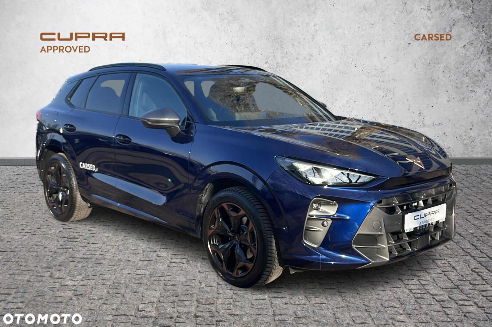 Cupra Terramar - 7