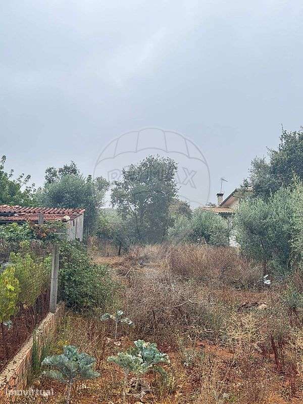 Terreno  para venda - Grande imagem: 5/11