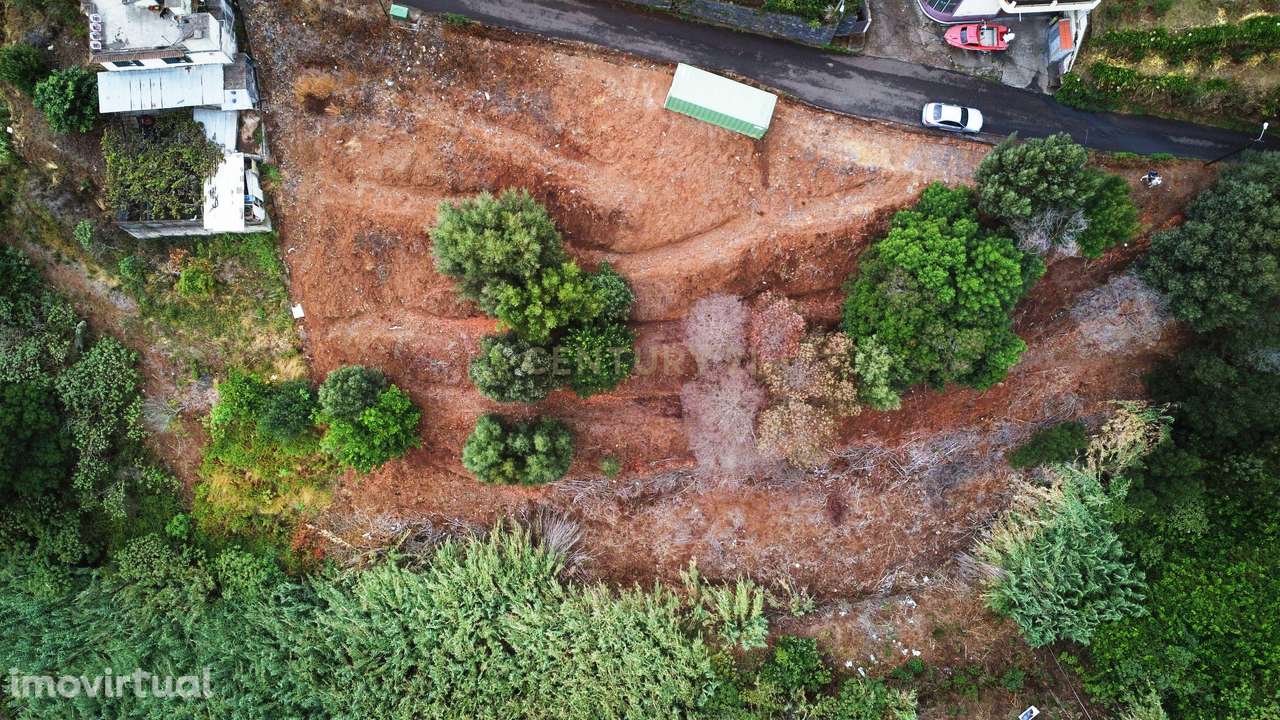Oportunidade de Investimento - Terreno em Gaula, Madeira - Grande imagem: 3/6