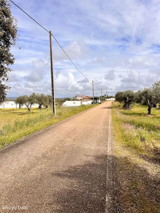 Terreno Agrícola 7.250 m² em Campo Maior - Grande imagem: 5/6