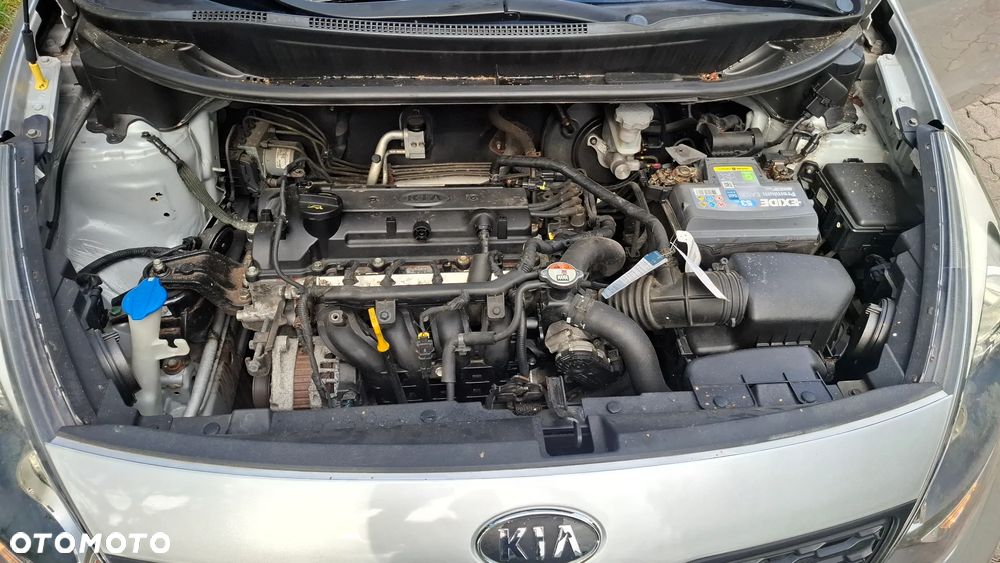 Kia Rio 1.2 Dream Team Edition - 18